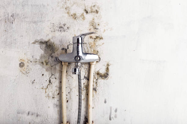 Best Residential Mold Remediation in Rockmart, GA
