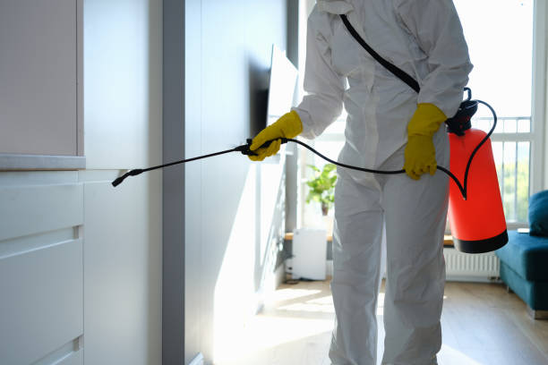 Best Residential Mold Remediation in Rockmart, GA