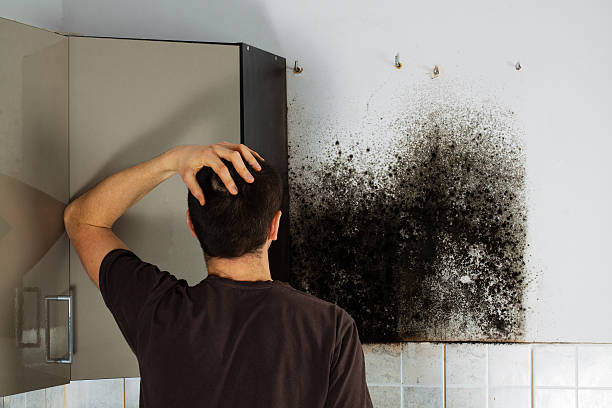 Best Bathroom Mold Remediation in Rockmart, GA